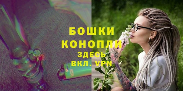 ПСИЛОЦИБИНОВЫЕ ГРИБЫ Лиски