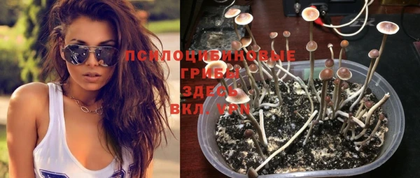 MESCALINE Липки